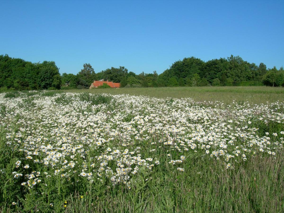 Heath Farm Holiday Cottages Swerford Exteriör bild